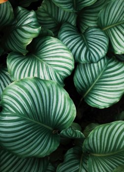 gallery-01 Gallery 01